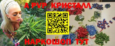 дмт Кингисепп