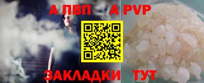 дмт Кингисепп
